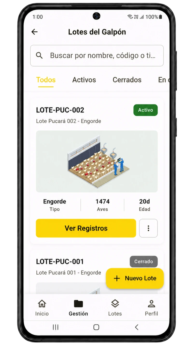 Lotes activos dentro de un galpón